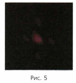 ���. 5