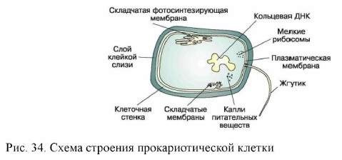 ����� �������� ���������������� ������